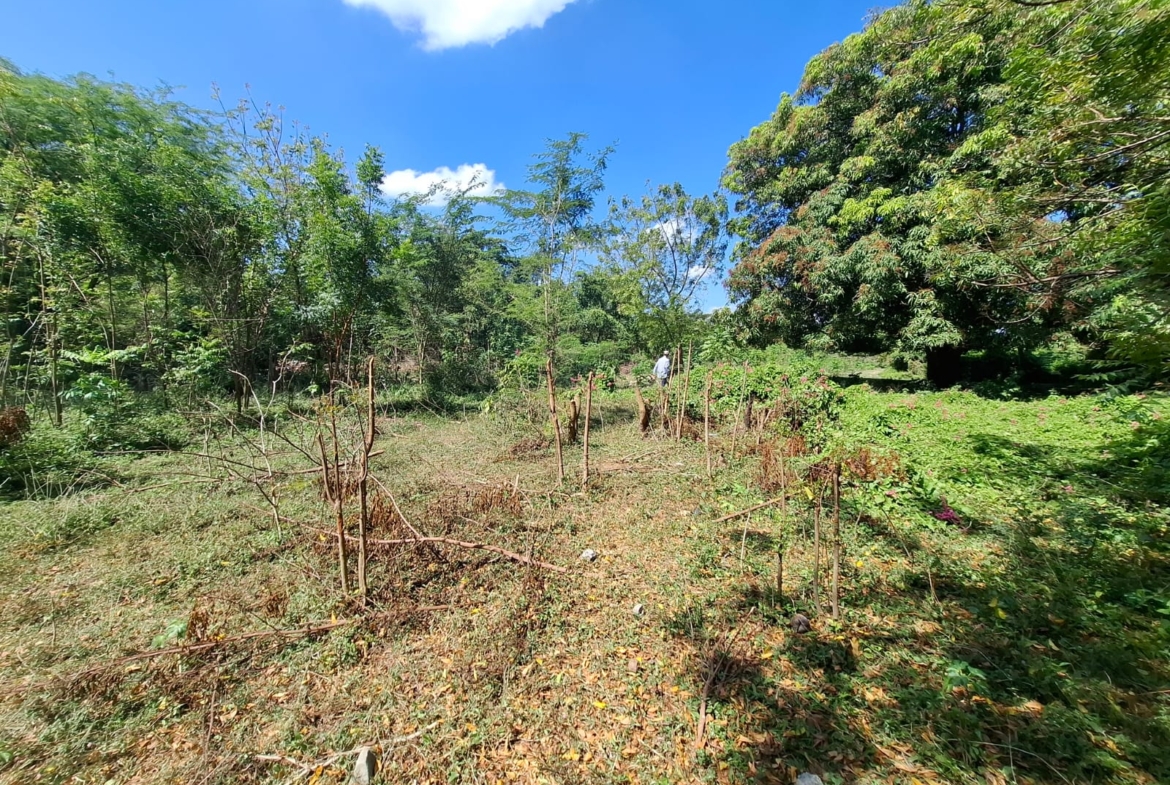 Solar en Venta San Gregorio Nigua San Cristóbal