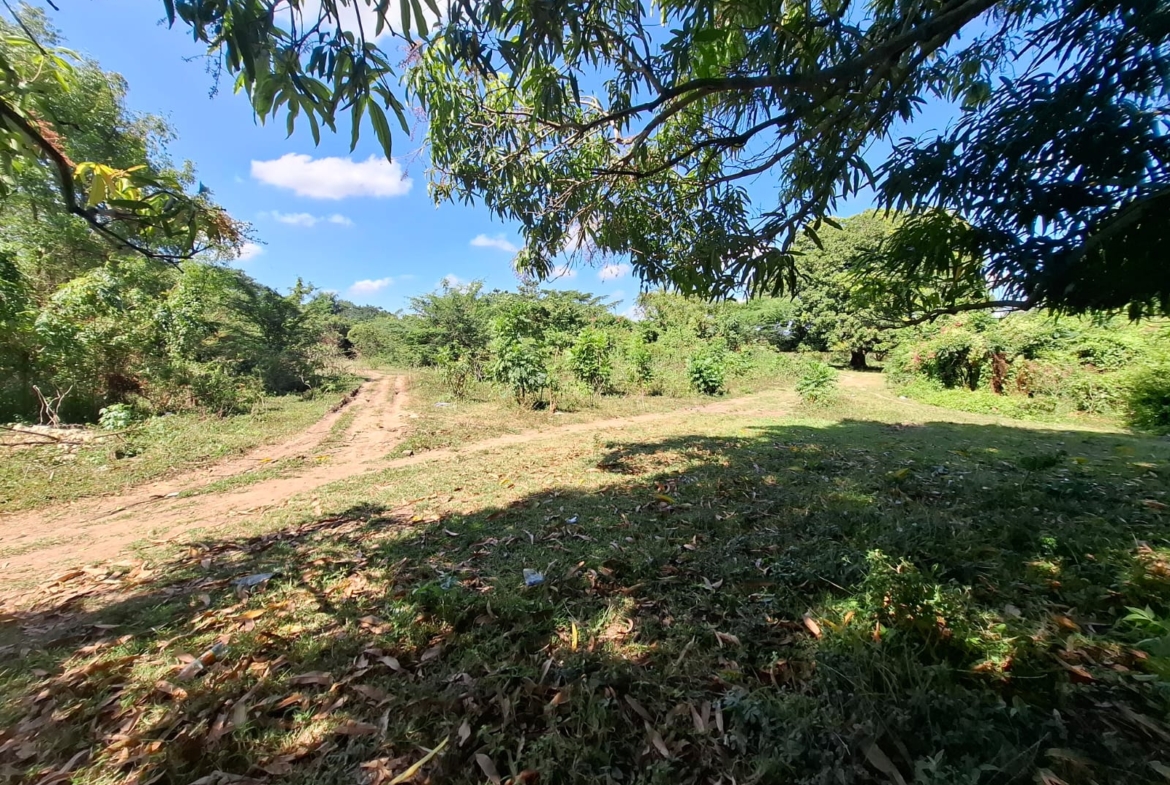 Solar en Venta San Gregorio Nigua San Cristóbal